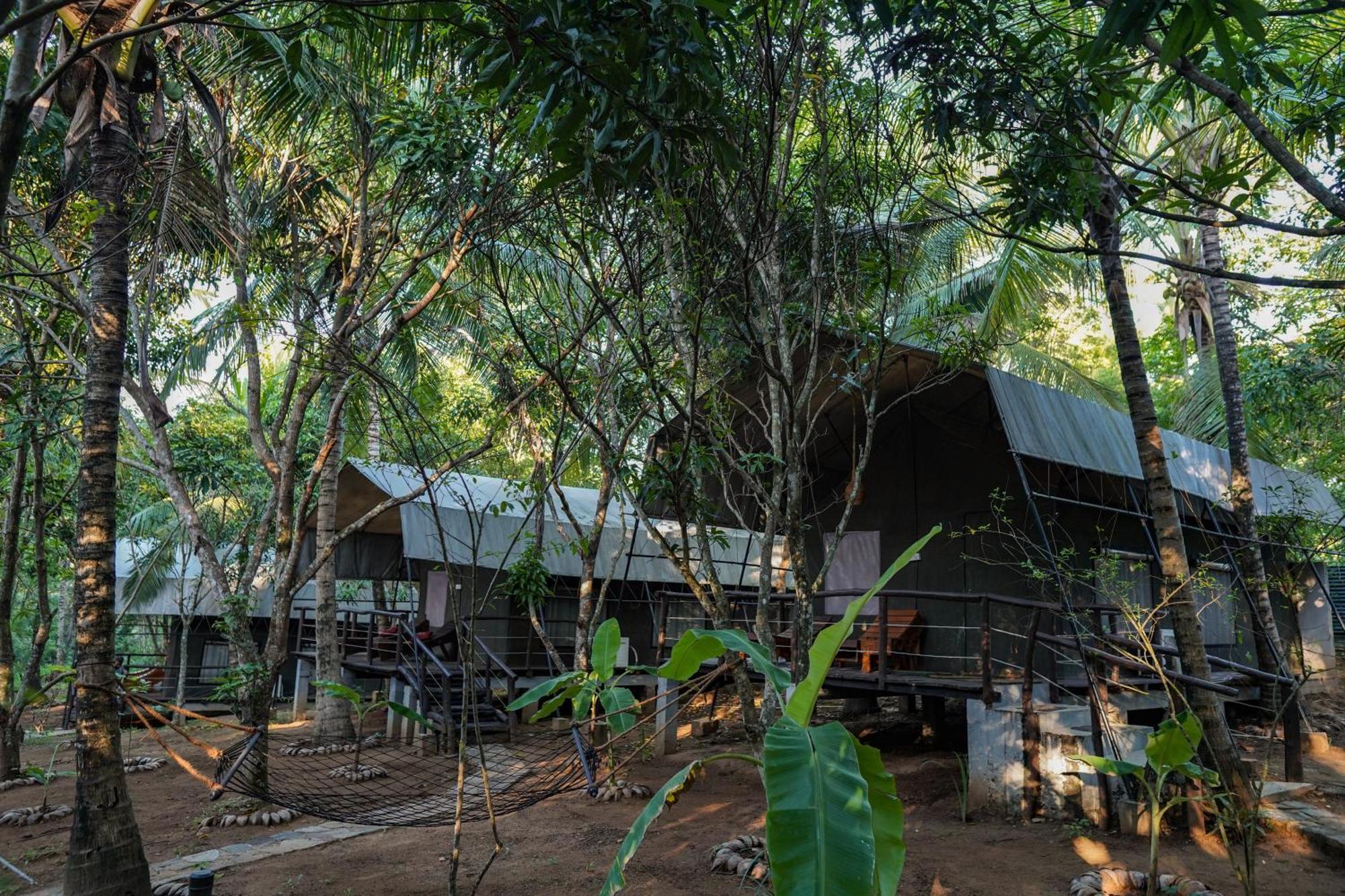 River Glamping By Gaga Bees Udawalawe Ngoại thất bức ảnh