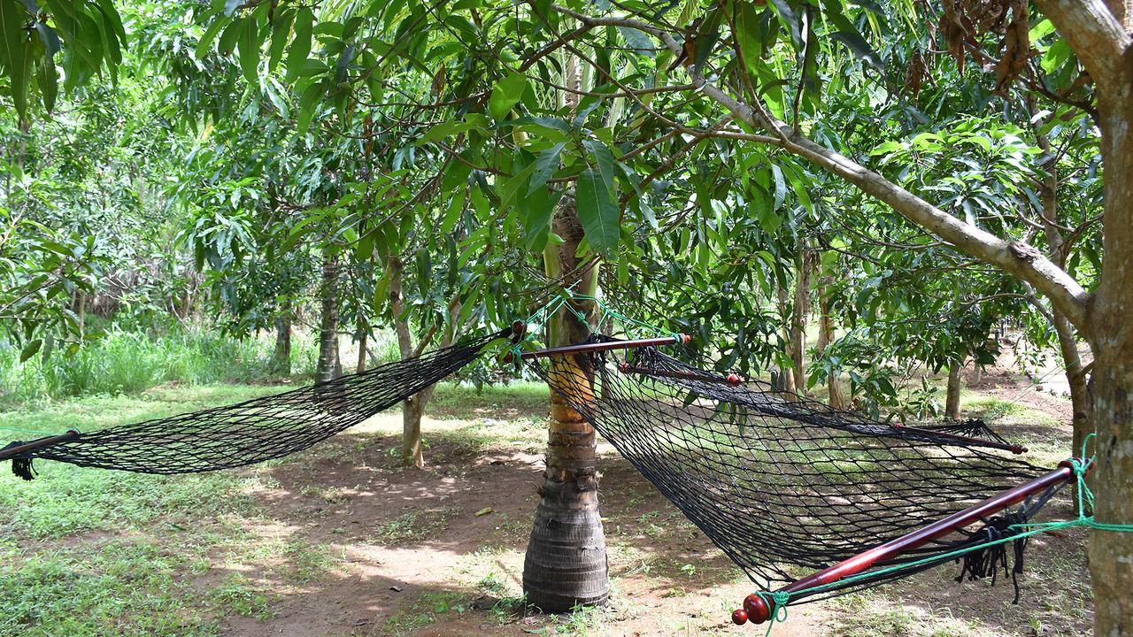 River Glamping By Gaga Bees Udawalawe Ngoại thất bức ảnh