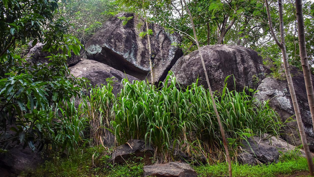 River Glamping By Gaga Bees Udawalawe Ngoại thất bức ảnh