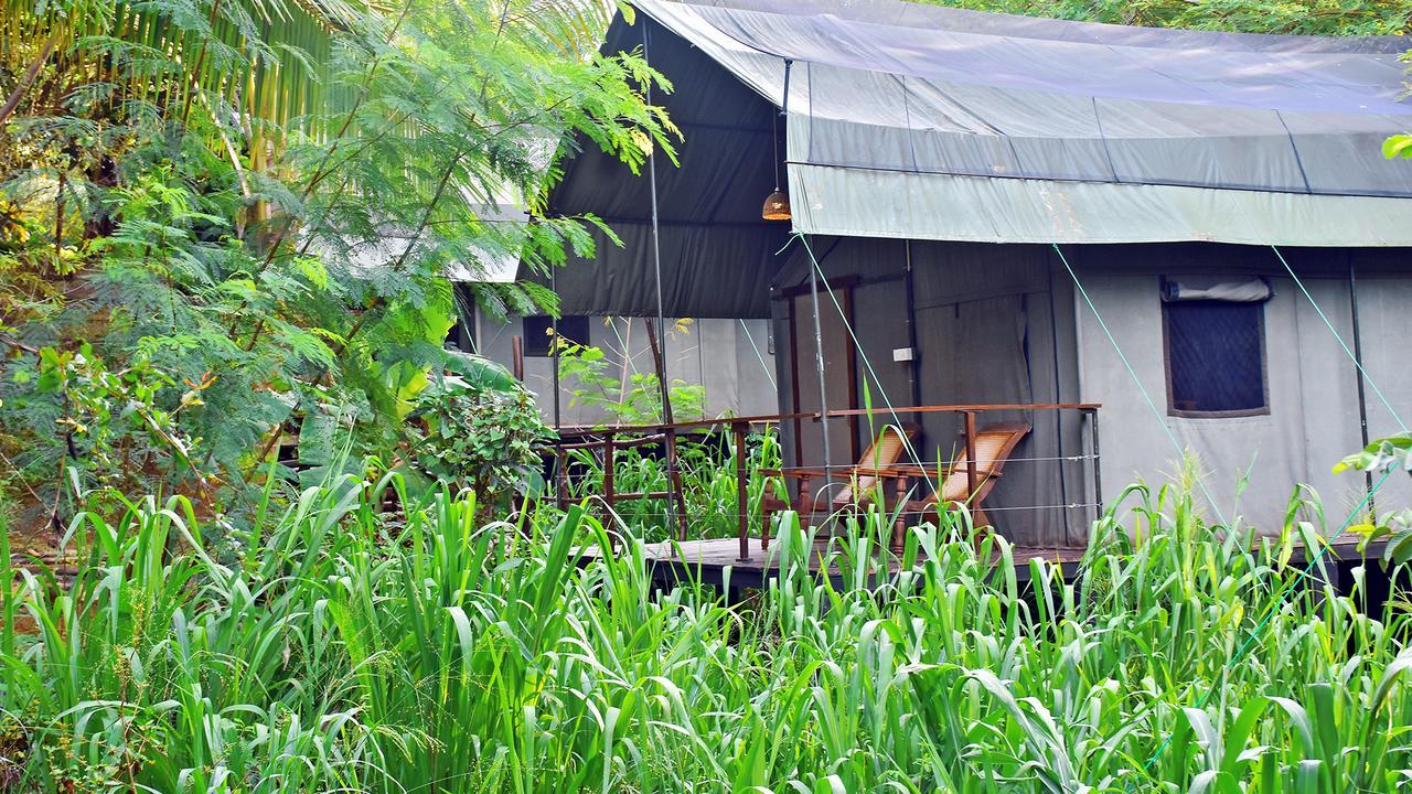 River Glamping By Gaga Bees Udawalawe Ngoại thất bức ảnh