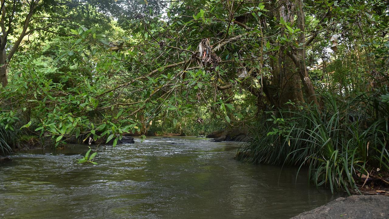 River Glamping By Gaga Bees Udawalawe Ngoại thất bức ảnh