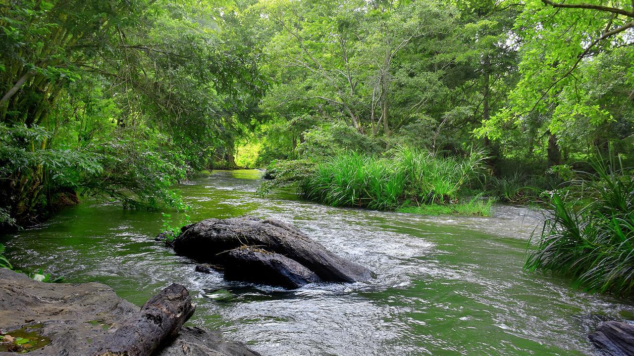 River Glamping By Gaga Bees Udawalawe Ngoại thất bức ảnh